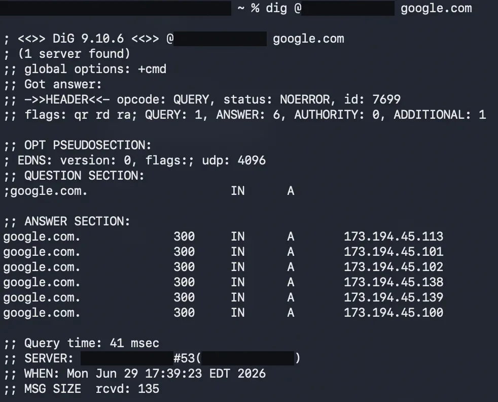 A dig query to the homelab DNS returning six answers for google.com, with the server address and the laptop name redacted